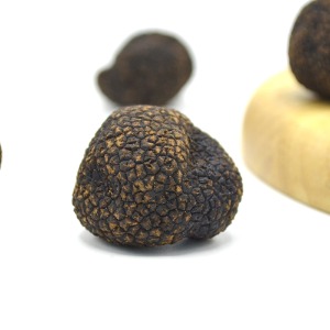 중국산 프레쉬 블랙 윈터 트러플 (신선송로버섯/생송로버섯)